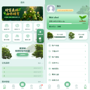 多语言投资理财系统/绿色种树/签到/任务/转盘/分销1